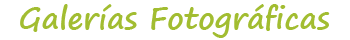 Galerías Fotográficas